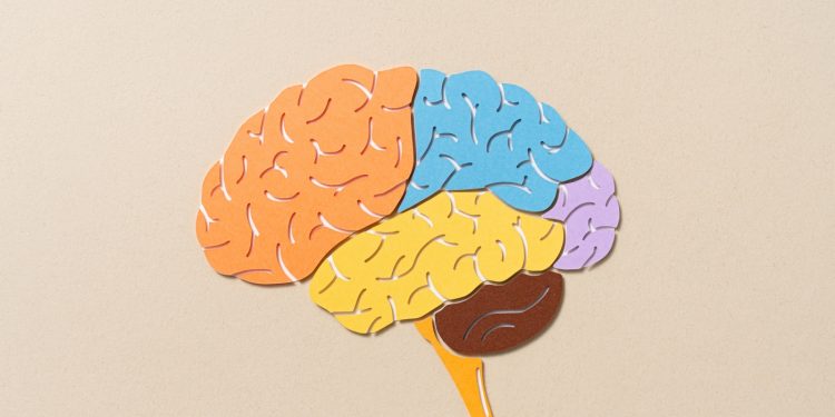 9 unerwartete Dinge, die wir im Jahr 2024 über unsere psychische Gesundheit und unser Gehirn gelernt haben: Impfungen