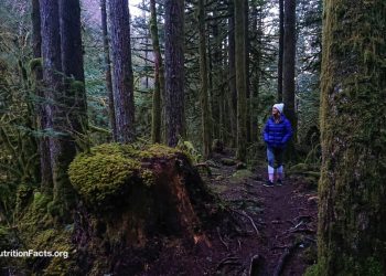 Wie wird die natürliche Killerzellenfunktion durch Waldbad verstärkt?