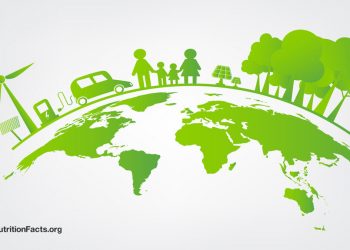 Was sind die Umweltauswirkungen von Fleisch auf pflanzlicher Foundation?