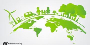 Was sind die Umweltauswirkungen von Fleisch auf pflanzlicher Foundation?