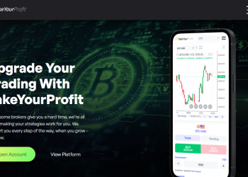 TakeYourProfit Overview 2024 – Betrugshelfer