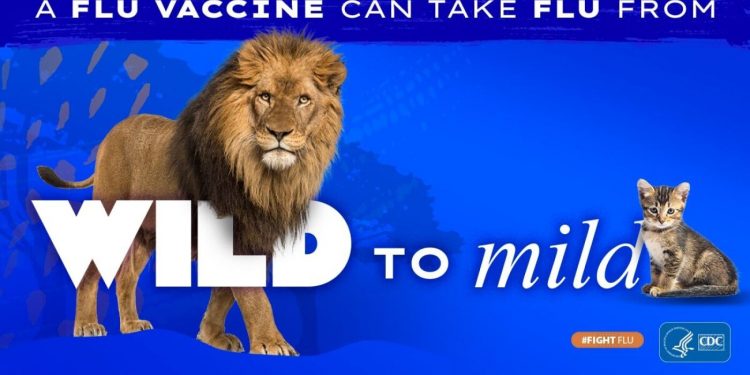 Die Trump -Administration beendet die CDC -Grippe -Impfstoffkampagne: Aufnahmen