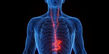 Vagusnervstimulation kann Autoimmunerkrankungen zähmen: Aufnahmen