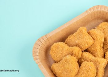 Sind das Fleisch auf Pflanzenbasis intestine für uns?