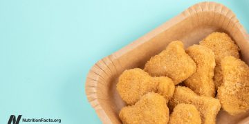 Sind das Fleisch auf Pflanzenbasis intestine für uns?