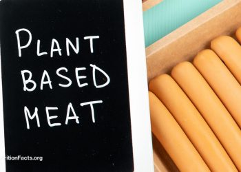 Fleisch und Pubertät auf Pflanzenbasis, Fettleibigkeit und Frakturrisiko