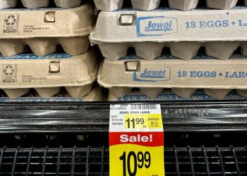 Beulen Eierhersteller die Preise?