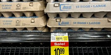 Beulen Eierhersteller die Preise?