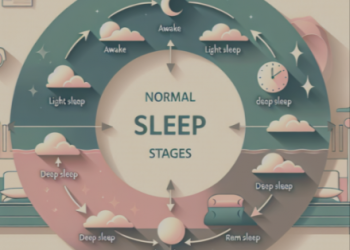 Verständnis des Unterschieds zwischen verschiedenen Schlafzyklen: eine Anleitung