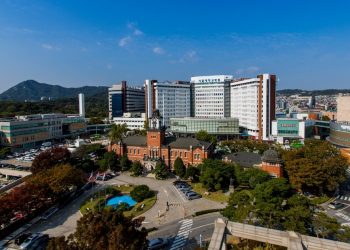 Das Seoul Nationwide College Hospital baut koreanische medizinische LLM