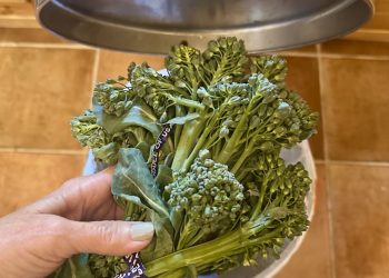 6 Effektive Tipps zur Reduzierung von Lebensmittelabfällen: einfache Strategien für eine nachhaltige Küche