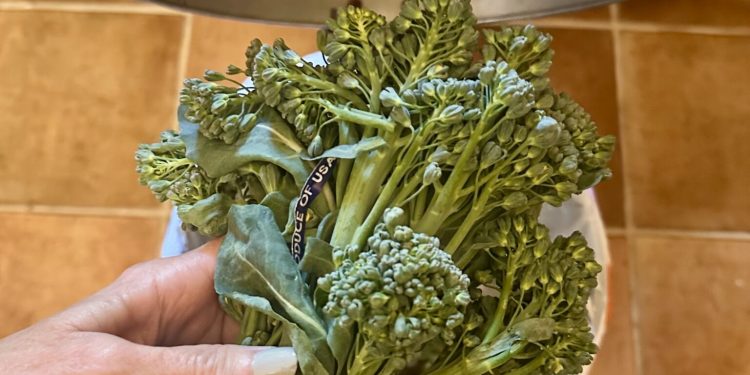 6 Effektive Tipps zur Reduzierung von Lebensmittelabfällen: einfache Strategien für eine nachhaltige Küche