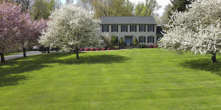 Im Frühjahr bewegen? Hier ist die ultimative Checkliste