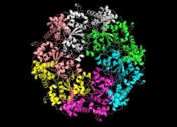 Fragen und Antworten: Microsofts bahnbrechendes KI -Software erleichtert das Untersuchung, wie Proteine ​​erstellt werden