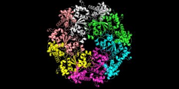 Fragen und Antworten: Microsofts bahnbrechendes KI -Software erleichtert das Untersuchung, wie Proteine ​​erstellt werden