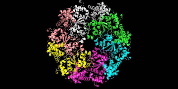 Fragen und Antworten: Microsofts bahnbrechendes KI -Software erleichtert das Untersuchung, wie Proteine erstellt werden
