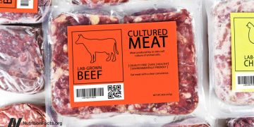 Lebensmittelsicherheit und kultiviertes Fleisch