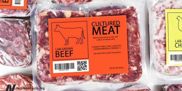 Lebensmittelsicherheit und kultiviertes Fleisch