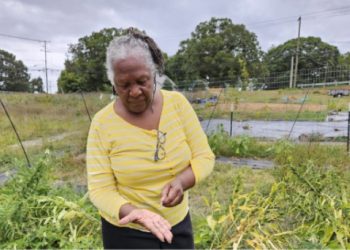 Bonnetta Adeeb sät Samen des Widerstands