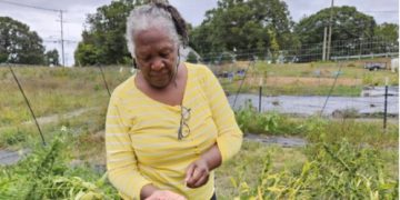 Bonnetta Adeeb sät Samen des Widerstands