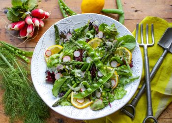 So springen Sie Ihre Ernährung mit frischen Essenstipps reinigen