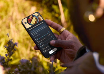 Oura Ring synchronisiert jetzt mit Dexcoms Stelo CGM