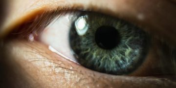 KI fängt das alte indische Konzept der Gefühle ein