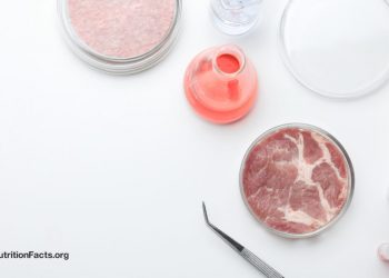 Chemische Sicherheit, kultiviertes Fleisch und unsere Gesundheit
