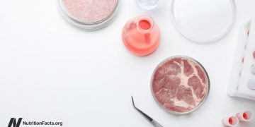 Chemische Sicherheit, kultiviertes Fleisch und unsere Gesundheit