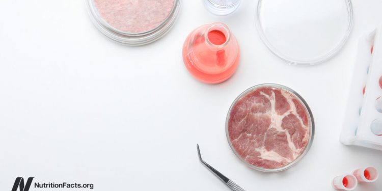Chemische Sicherheit, kultiviertes Fleisch und unsere Gesundheit