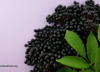 Was ist mit Elderberry, Echinacea und Preiselbeeren für Erkältungen und Grippe?