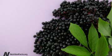 Was ist mit Elderberry, Echinacea und Preiselbeeren für Erkältungen und Grippe?