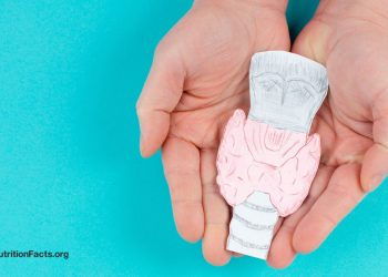 Behandeln Sie die Hashimoto -Krankheit (Hypothyreose) auf natürliche Ernährung