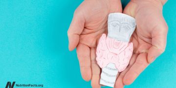 Behandeln Sie die Hashimoto -Krankheit (Hypothyreose) auf natürliche Ernährung