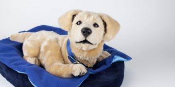 Tombot sichert 6,1 Millionen US -Greenback für Roboter -Haustier