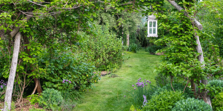 So verwandeln Sie Ihren Garten in ein Permakulturparadies