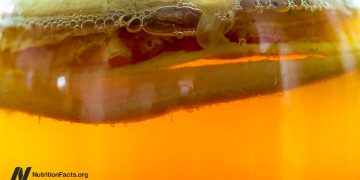 Sollten wir Kombucha trinken