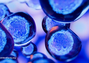 Ernährungskomponenten, die dazu führen können, dass Krebs metastasiert