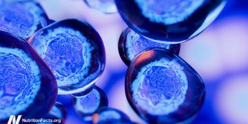 Ernährungskomponenten, die dazu führen können, dass Krebs metastasiert