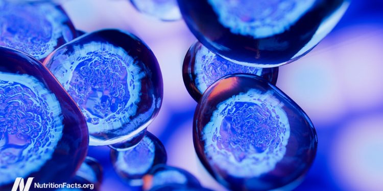 Ernährungskomponenten, die dazu führen können, dass Krebs metastasiert