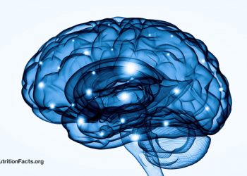Steigern Sie die BDNF -Spiegel in unserem Gehirn, um Depressionen zu behandeln