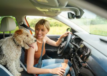 Tipps für den Umzug in der Sommerhitze