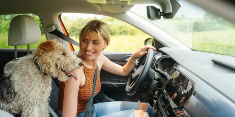 Tipps für den Umzug in der Sommerhitze