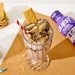 Quest S'Mores Schokoladenproteinmilchshake -Rezept
