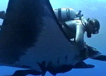 Terry Kennedys letzter Tauchgang – Senior Planet von AARP