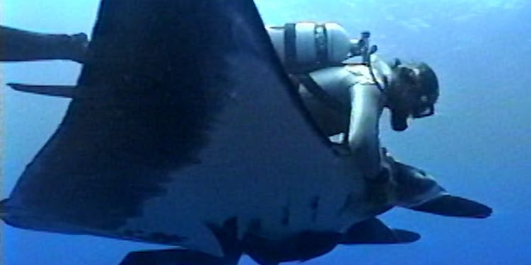 Terry Kennedys letzter Tauchgang – Senior Planet von AARP