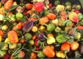 So verwenden Sie Paprika: Ernährungsvorteile, Kochtipps und einfache Rezepte