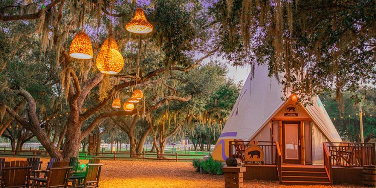 Holen Sie sich sozial und … Glamping! – Senior Planet von AARP