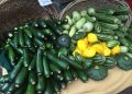 Zucchini 101: Zucchini -Gesundheitspunkte + Zucchini -Rezepte und Kochtipps