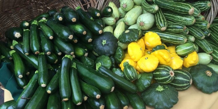 Zucchini 101: Zucchini -Gesundheitspunkte + Zucchini -Rezepte und Kochtipps